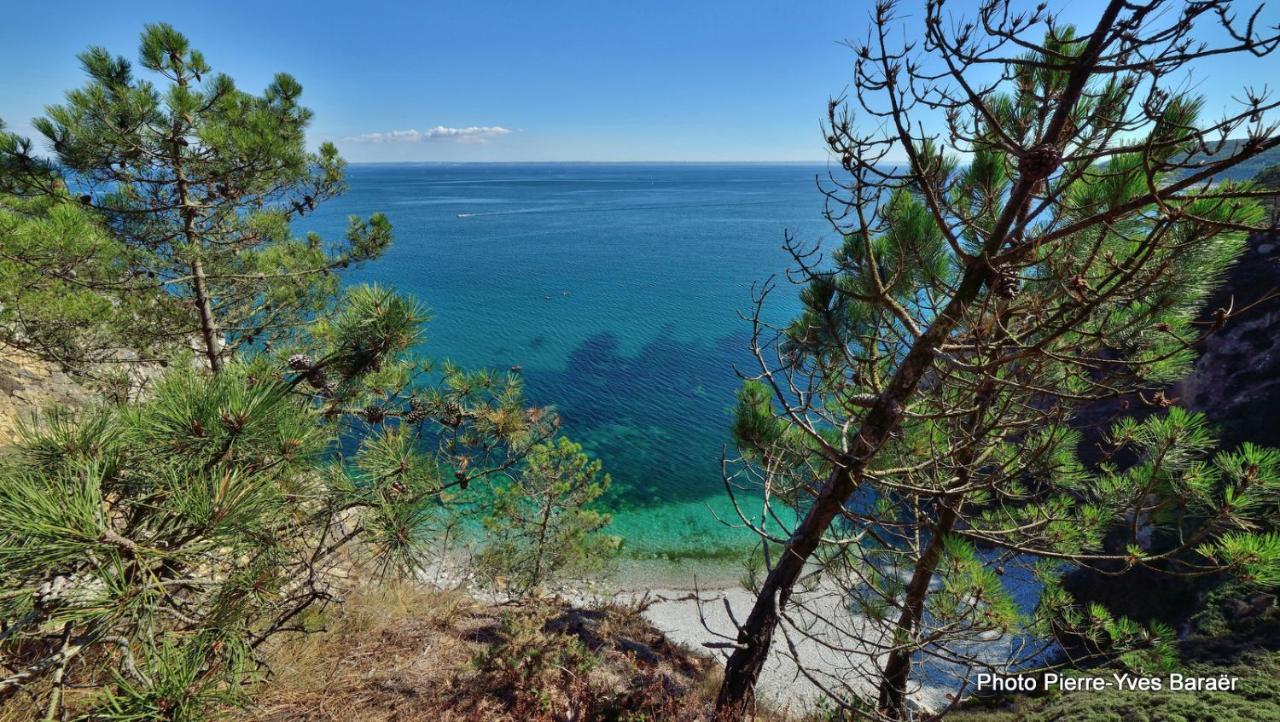Le Dixmude, Appartement Proche Plage De Morgat Crozon Kültér fotó